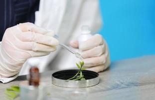 medisch wetenschappelijk laboratorium. concept van de wetenschapper, dokter, maak alternatieve kruidengeneeskunde met kruiden de biologische natuurlijke in het laboratorium. oliecapsule, natuurlijke biologische huidverzorging cosmetisch onderzoek. foto