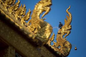 Thaise tempeldak foto