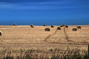 graanvelden en een diepblauwe lucht foto