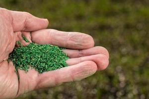 Senior mannelijke hand met gecoat graszaad voor het repareren van gazon in de tuin foto