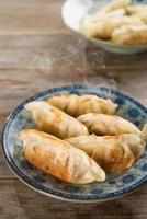 Aziatische gerecht pan gebakken dumplings foto
