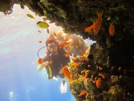 meisjesduiker verkent het koraalrif van de rode zee in egypte. groep koraalvissen in blauw water. jonge vrouw duiken op een prachtig koraalrif foto
