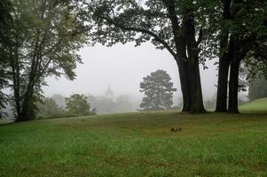 prachtig landschap met bomen foto