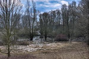 landschap met bomen foto