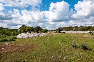 landelijk landschap met planten op rotsachtige heuvels op een zonnige dag foto