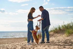 jonge gelukkige paar spelen met hond op zandstrand. man met corgi puppy aan de lijn foto