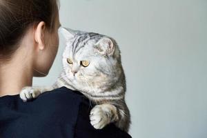 schattige Cyperse kat in armen van onherkenbare vrouw, vriendschap tussen mens en huisdier. kopieer ruimte foto