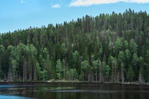 majestueus bos en pittoreske rivier noordelijke schilderachtige omgeving karelia foto