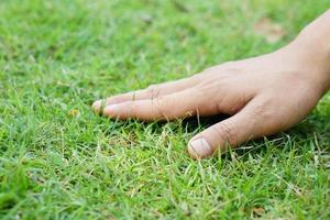 menselijke hand wat betreft gras en grond foto