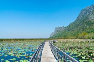 sam roi yot zoetwatermoeras of bueng bua khao sam roi yot nationaal park foto