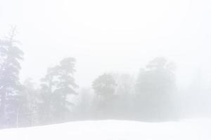 bedekt met sneeuw Kaukasus berg foto