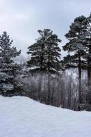 bedekt met sneeuw Kaukasus berg foto