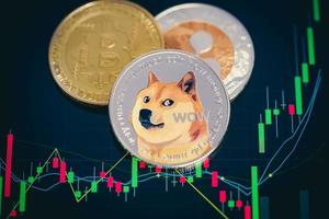 dogecoin cryptocurrency zilveren symbool en aandelengrafiek kandelaar op tablets. met meerwaarde, fundamenteel. foto