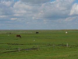 baltrum eiland in duitsland foto