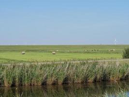 het dorp ditzum aan de rivier de ems foto