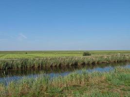 het dorp ditzum aan de rivier de ems foto