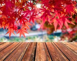 houten tafelblad op vage rode esdoornbladeren in gangtuin foto