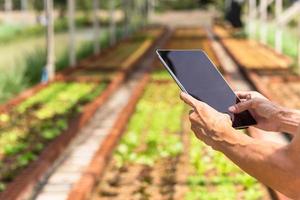 Aziatische boer onderzoekt groente met tabletcomputer in hydrocultuur biologische boerderij. foto