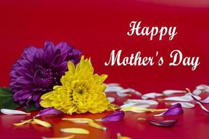 gelukkige moederdag tekst op rode achtergrond met bloemblaadjes. foto