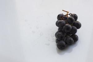 zwarte druiven "isabella" foto