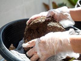 hand- vinger handschoen houden bodem bruin oppervlak structuur patroon ruw symbool boer tuin boom blad plantkunde natuurlijk organisch milieu Bos groente fabriek ecologie hoop redden aarde planeet globaal foto