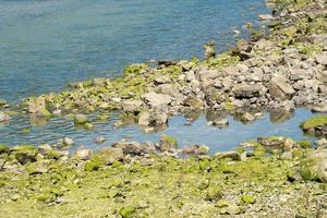 Cantabrische kust. close-up van kleine rotsen met watermos, dicht bij het water. foto