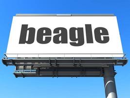 beagle woord op billboard foto