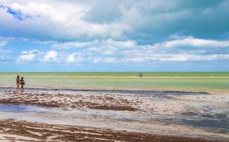 holbox mexico 22. december 2021 natuurlijke holbox eiland strand zandbank foto