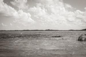 muyil lagune panorama-uitzicht in de tropische jungle van geweldig mexico. foto