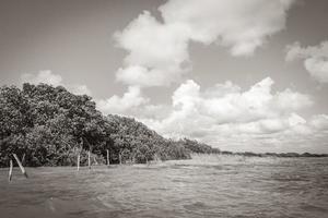 muyil lagune panorama uitzicht landschap natuur turquoise water mexico. foto