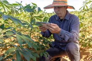 slimme boer een aziatische man gebruikt een tablet om de gewassen te analyseren die hij overdag op zijn boerderij verbouwt. foto