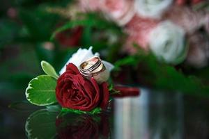 roos, huwelijk, bloem, ring, liefde, rood, huwelijk, goud, ringen, juwelen, romance, natuur, bloemen, wit, Valentijn, boeket, schoonheid, roze, verloving, rozen, groen, macro, diamant, band, getrouwd foto
