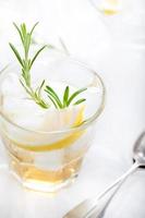 gin, citroen, rozemarijn bruisend, cocktail foto