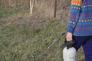 bomen en planten besproeien met een oplossing om te beschermen foto