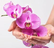 french manicure en orchideebloem foto