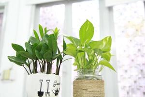 twee groene bladeren op het bureau op kantoor foto