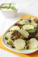 insalata di cetrioli e lattuga rossa