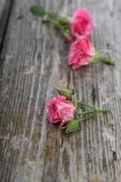 boeket roze rozen foto