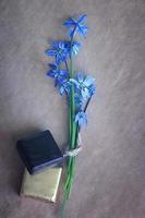 kleine blauwe bloemen chocolade foto