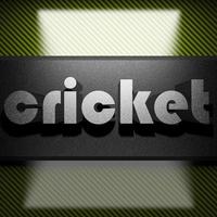 cricketwoord van ijzer op koolstof foto