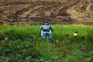 vogelverschrikker viel op het gras foto