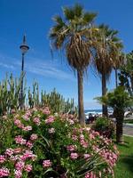 het spaanse eiland tenerife foto