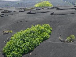 vulkaan eiland lanzarote in spanje foto