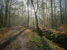 ijzige ochtend in de winter foto