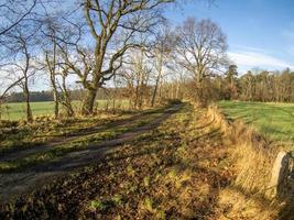 ijzige ochtend in de winter foto