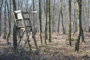 shot van de houten ladderstandaard voor de jacht in het bos foto