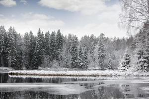 winterlandschap foto