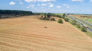 tractor maakt bemesting in suikerriet veld. foto