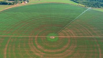 landbouwirrigatiesysteem op zonnige zomerdag. een luchtfoto van een centrale spil sprinklerinstallatie. foto