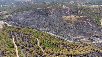 luchtfoto drone uitzicht op verbrand bos naast de weg. donker land en zwarte bomen veroorzaakt door brand. bosbrand. klimaatverandering, ecologie en land. foto